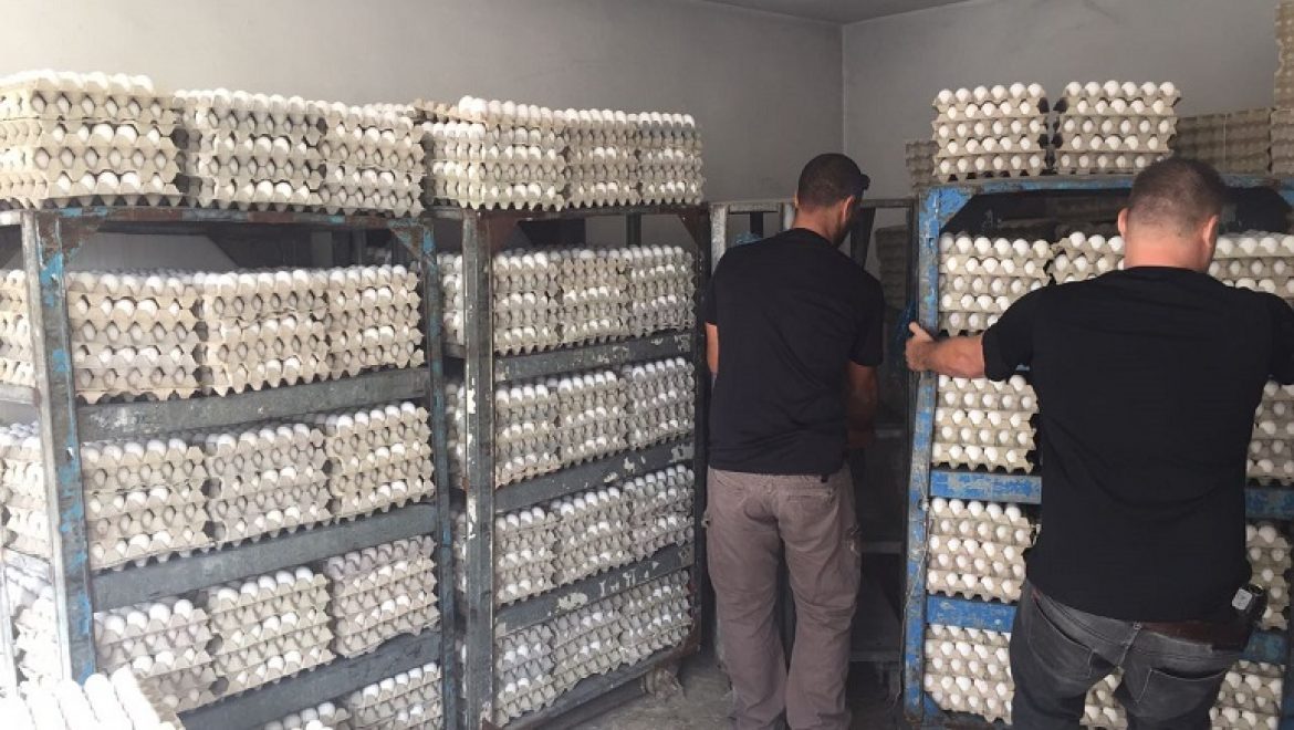 כ-40,000 ביצים מזויפות נתפסו בבית חנינה