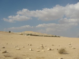בקעת ערד צילום: החברה להגנת הטבע