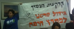 מגמה ירוקה הפגנה