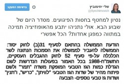 שלי