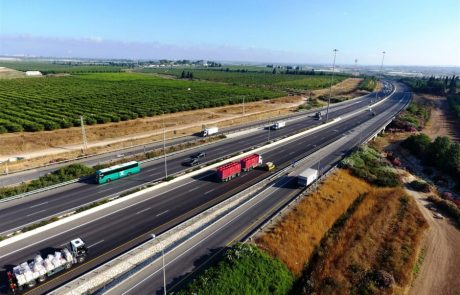 חשיפה: רשימת הכבישים האדומים – סכנה לחיות הבר בישראל