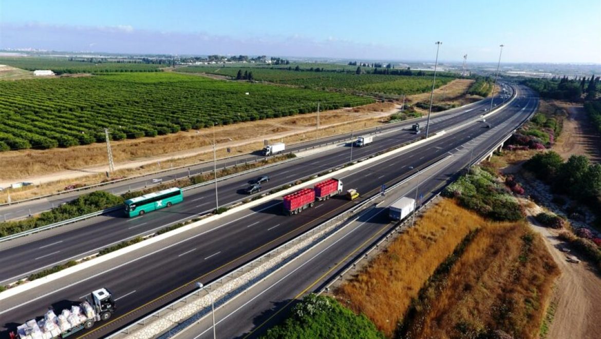 חשיפה: רשימת הכבישים האדומים – סכנה לחיות הבר בישראל