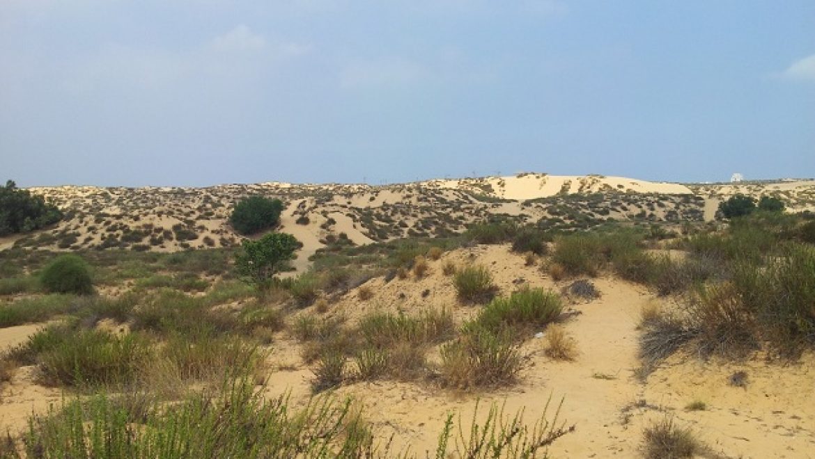 גורמים ירוקים מגישים ערר נגד בניית אזור תעשייה בחולות אשדוד
