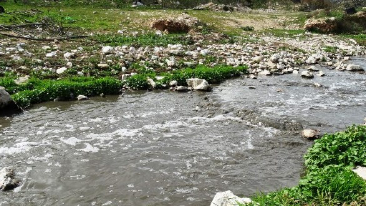 החברה להגנת הטבע מפגינה נגד הזרמת השפכים אל נחל פרת