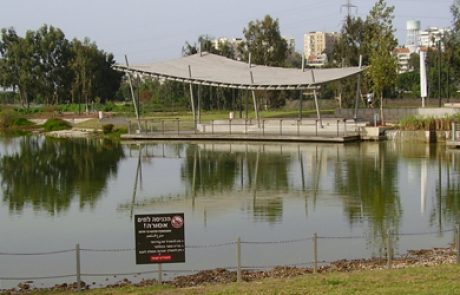 זיהום חמור במקורות הירקון