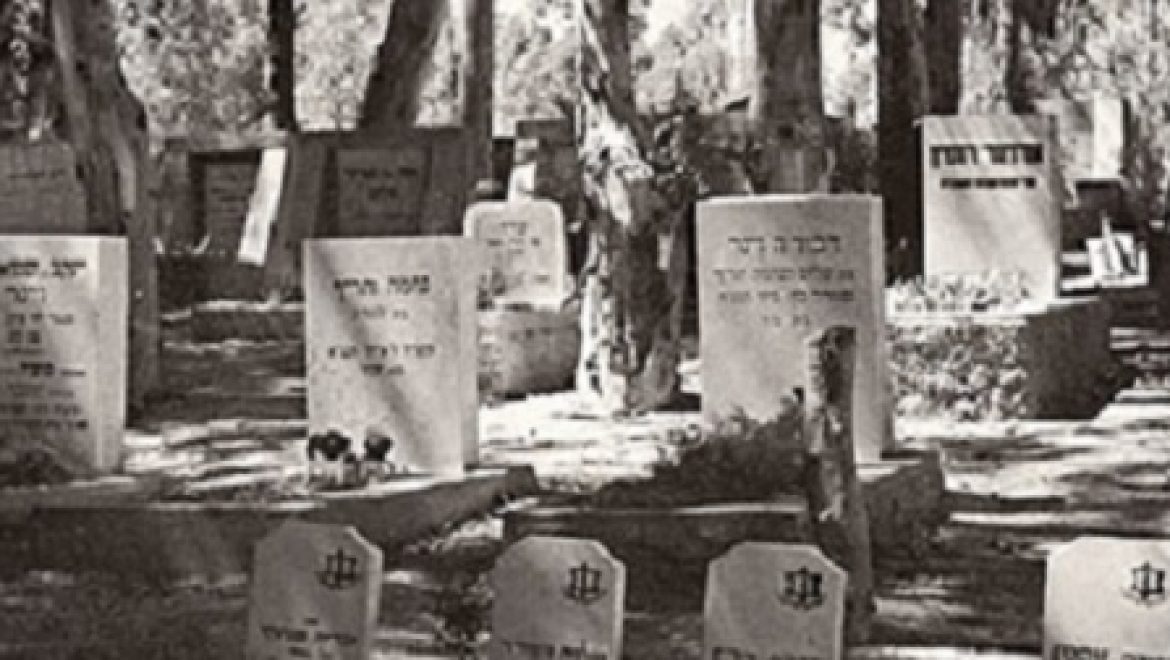 להאיר את המתים: תאורה סולארית בבתי עלמין