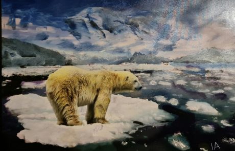 המדענים המומים: גם "אזור הקרח האחרון" בקוטב "נמס בטירוף"
