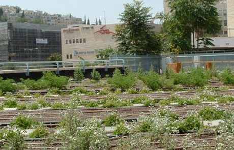 הזמנה: כנס גגות ירוקים- 29.3.2011