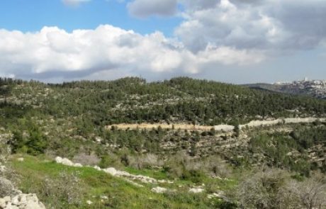 המשרד להגנת הסביבה והחברה להגנת הטבע נגד הבנייה בהרי ירושלים