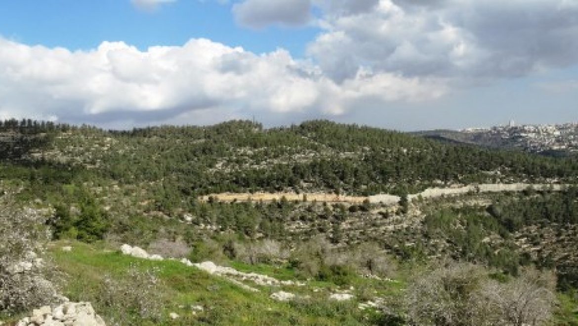 המשרד להגנת הסביבה והחברה להגנת הטבע נגד הבנייה בהרי ירושלים