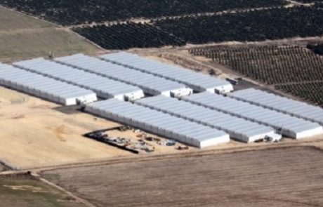 הגז הטבעי מגיע גם לחקלאות: מערכות חימום לשימוש בגז טבעי הותקנו בחממות בגדרות