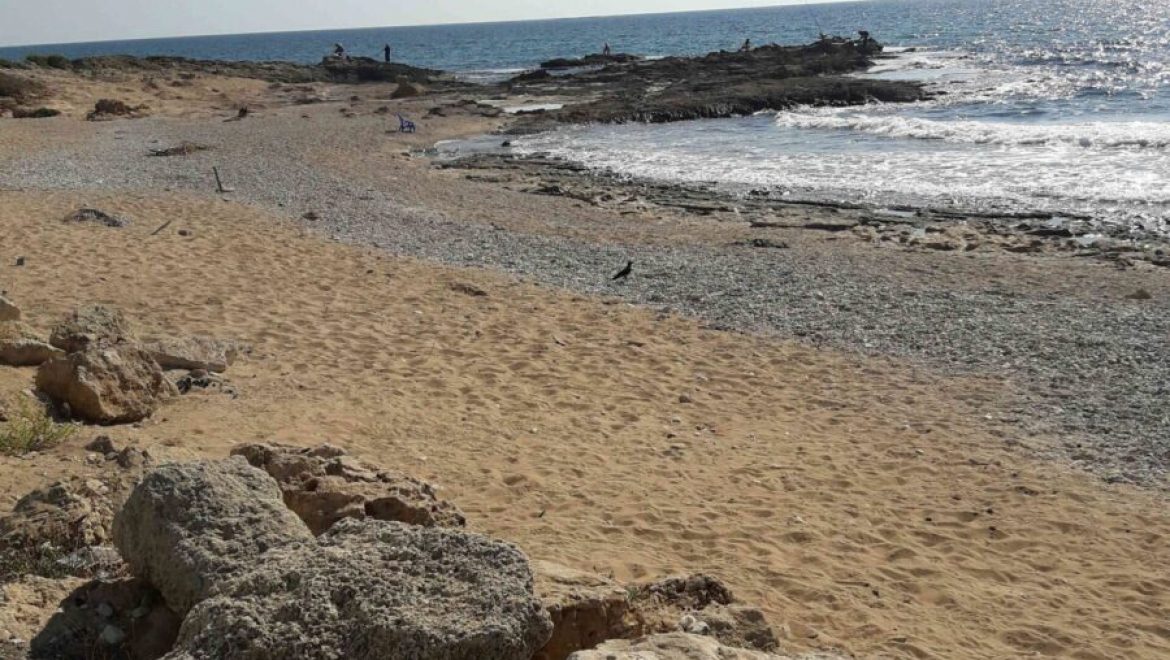 מדד חוף נקי: כ-70% מהחופים נמצאו נקיים לעומת 61% לפני שנה