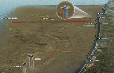 השותפות בלוויתן: "תחנה חשובה בדרך לפיתוח המאגר. נחושים להזרים גז כבר בסוף 2019"