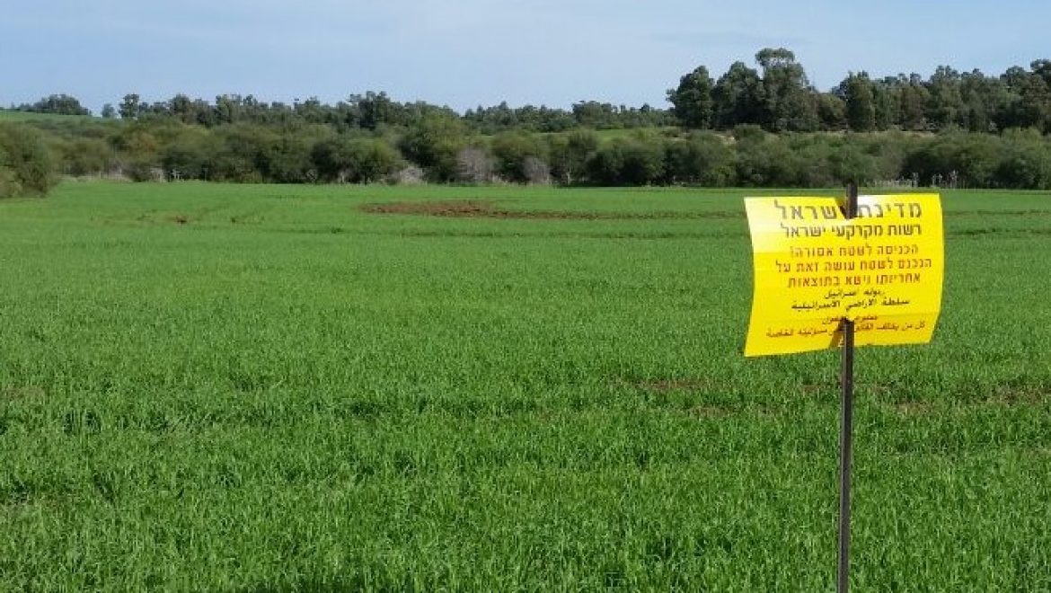 נחסם ניסיון להשתלטות על קרקע חקלאית בצפון