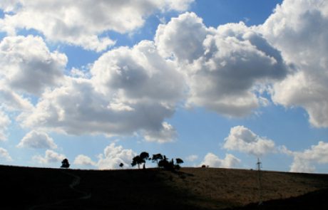 המרכז הבינתחומי מגייס את הפייסבוק לשמירה על הסביבה