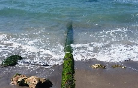 עקב פגיעה בסביבה הימית: תש"ן תפנה צינורות נפט תת-ימיים מקרקעית מפרץ חיפה