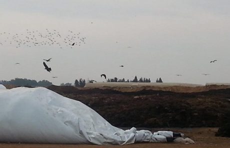 ביהמ"ש גזר קנסות של 240 אלף שקל על חברת ד. רותם ומאור ובעליה