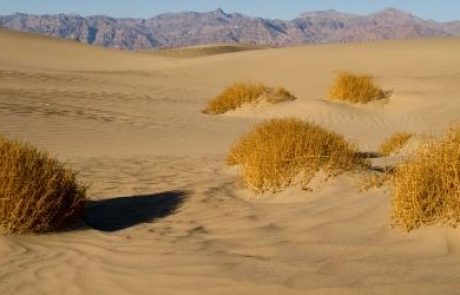 מדענים איטלקים מקררים מזון במדבר בעזרת חום השמש
