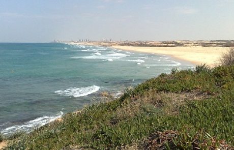 מבקר המדינה: מנהל מקרקעי ישראל מייצר פגיעה בחופי ישראל
