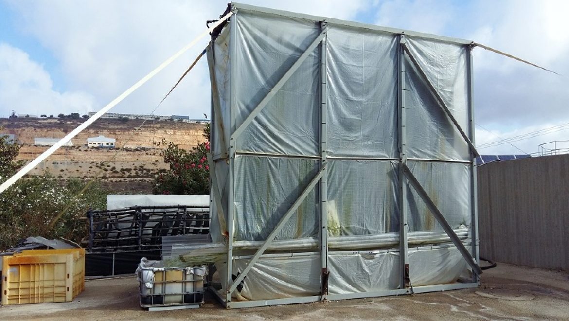 חברת החשמל ואוניברסיטת אריאל מפתחים מערכת מבוססת אצות לטיפול במזהמי תעשייה ותחנות כח