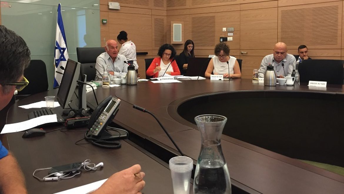 ועדת הכלכלה קיימה דיון בחסמים המונעים הקמת טורבינות רוח קטנות ובינוניות
