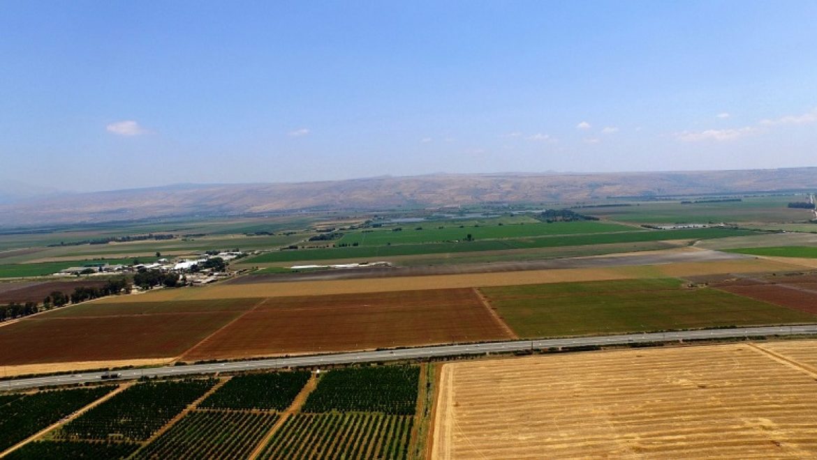 עמדת ארגוני הסביבה: קו המתח בעמק החולה – סכנה חמורה לעופות הנודדים ופגיעה בתיירות