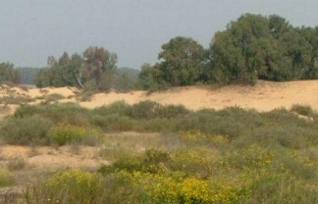בג"ץ קיבל את עתירת 'אדם טבע ודין' והורה שלא לסלול את חלקו המערבי של כביש 9