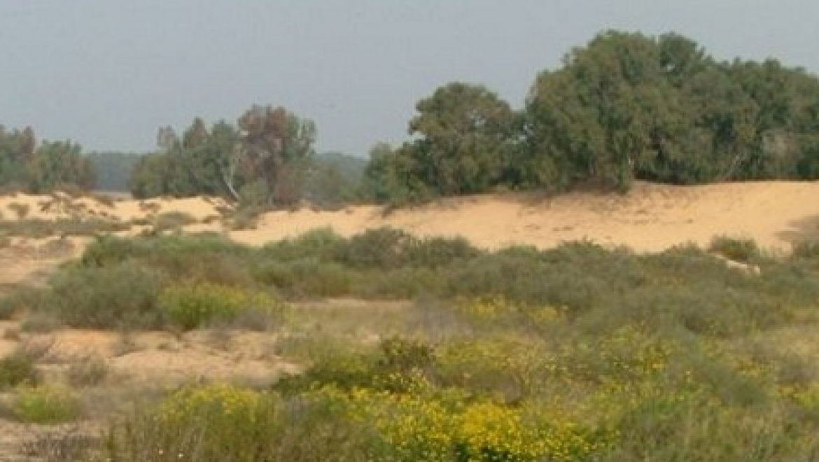 בג"ץ קיבל את עתירת 'אדם טבע ודין' והורה שלא לסלול את חלקו המערבי של כביש 9