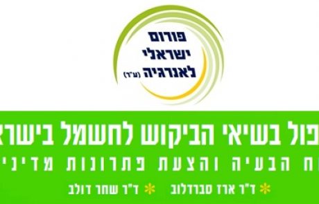 הטיפול בשיאי הביקוש לחשמל בישראל – דו"ח הפורום הישראלי לאנרגיה