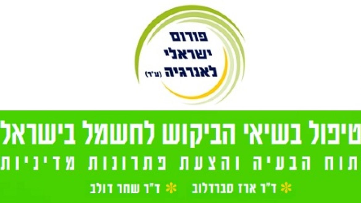 הטיפול בשיאי הביקוש לחשמל בישראל – דו"ח הפורום הישראלי לאנרגיה