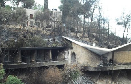 הממשלה דחתה את תחילת שיקום הכרמל בשל לחץ האוצר