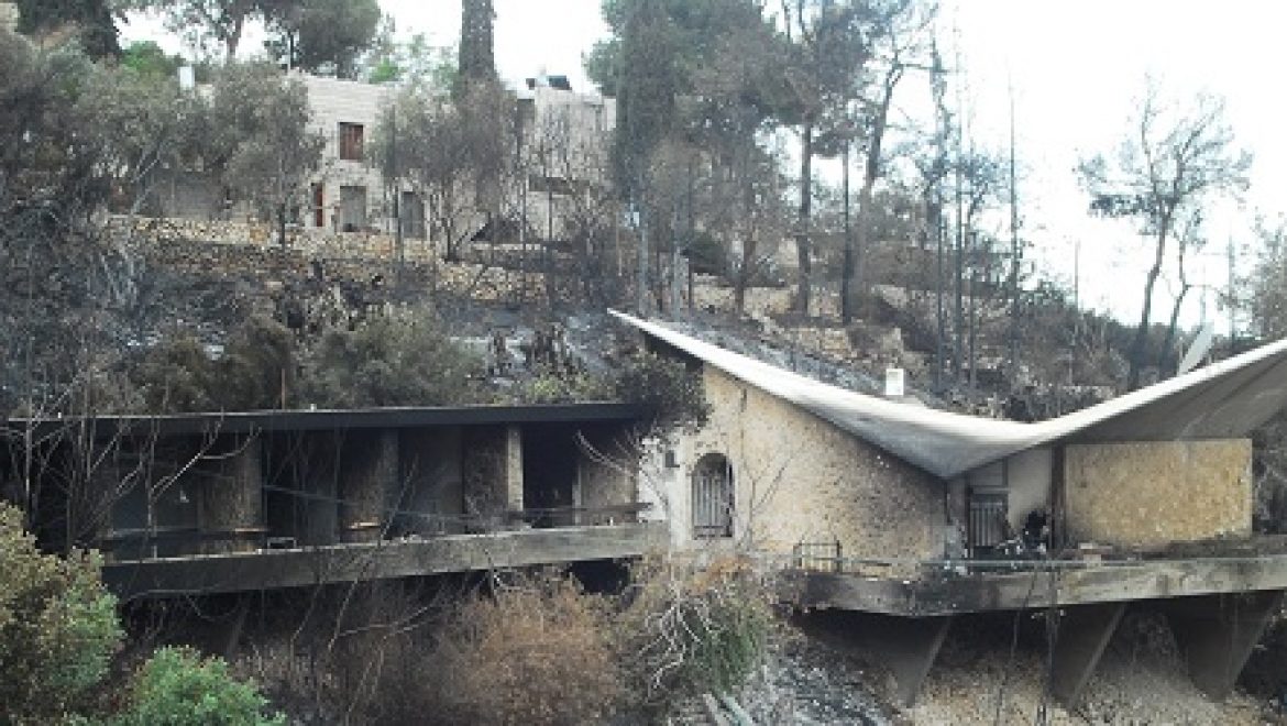 המשרד להגנת הסביבה הגיש לממשלה תכנית שיקום לכרמל בעלות 200 מיליון ש"ח