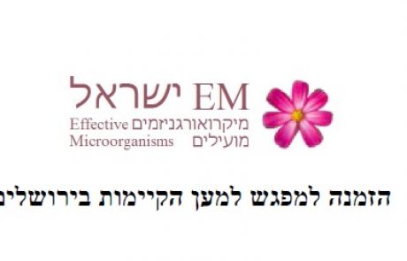 הזמנה למפגש למען הקיימות בירושלים