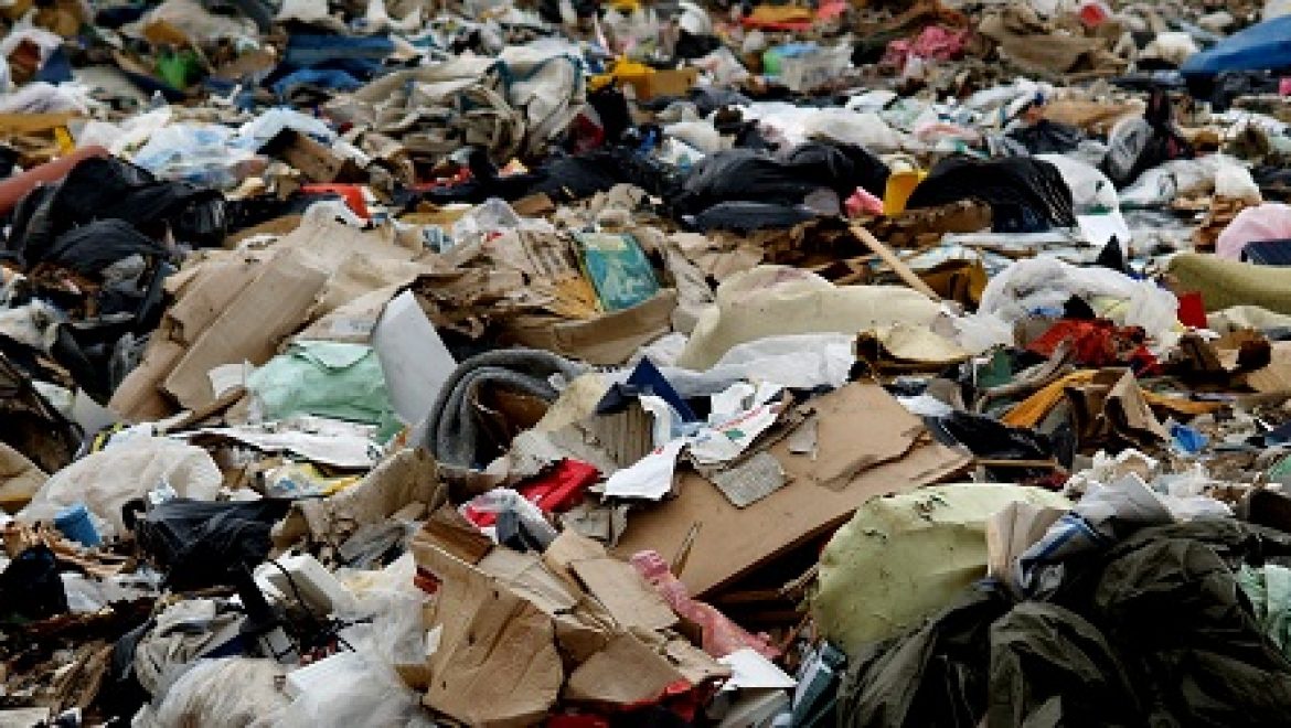 המשרד להגנת הסביבה: תוכנית סיוע מקיפה לרשויות המקומיות למיחזור והפרדת פסולת במקור