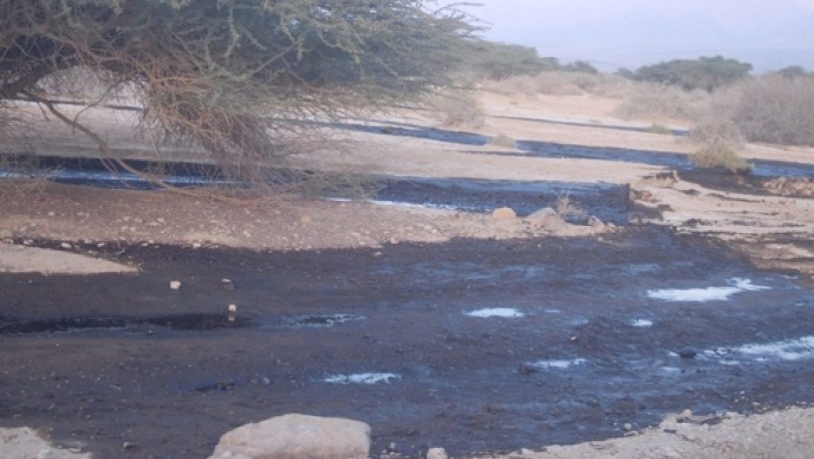 המשרד להגנת הסביבה: שוקלים להגיש תביעה אזרחית נגד קצא"א