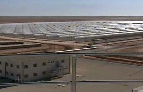 יינגלי תקים חוות PV באלג'יריה, בהספק של 233 MW