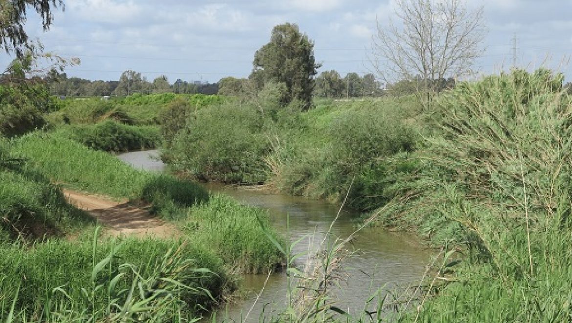 עקרונות בשיקום נחלים בעיר ובשטחים הפתוחים