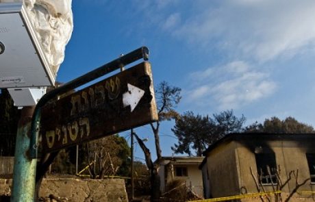 בעקבות השריפה בכרמל: קיבוץ בית אורן יואר בעזרת תאורת רחוב סולארית