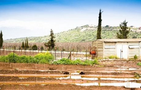 דעה: ה"קמשב" – דרכו של הקיבוץ להשתלב בכלכלת המאה ה-21