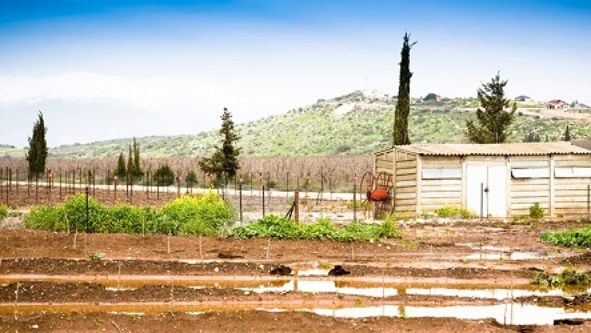דעה: ה"קמשב" – דרכו של הקיבוץ להשתלב בכלכלת המאה ה-21