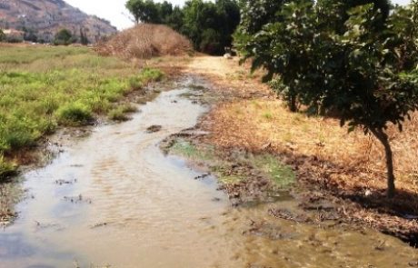 המשרד להגנת הסביבה ומשרד החקלאות מממנים פרויקטים לשיקום נחלים ולמניעת שיטפונות