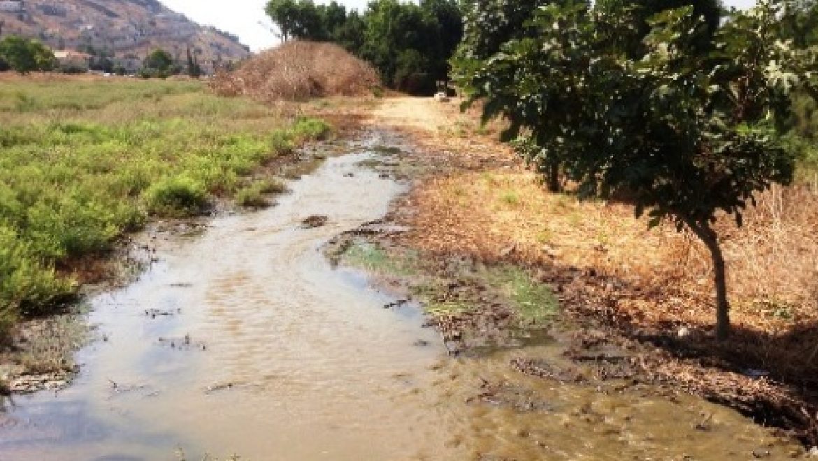 זיהום חמור של ביוב בנחל הקישון