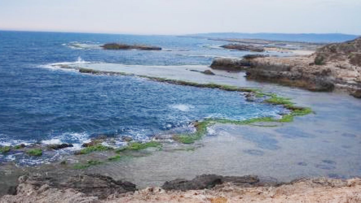 יישובי חוף הכרמל הגישו בג"ץ נגד הקמת תחנת הגז בחוף דור