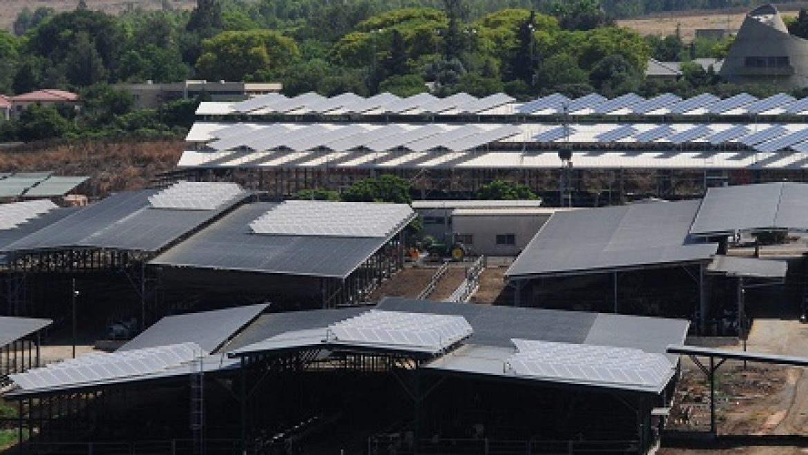 אנלייט תשקיע 43 מיליון יורו בהקמת חוות סולאריות באיטליה