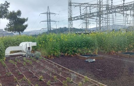 חברת החשמל משיקה גג ירוק מחקרי בתחנת משנה בירושלים