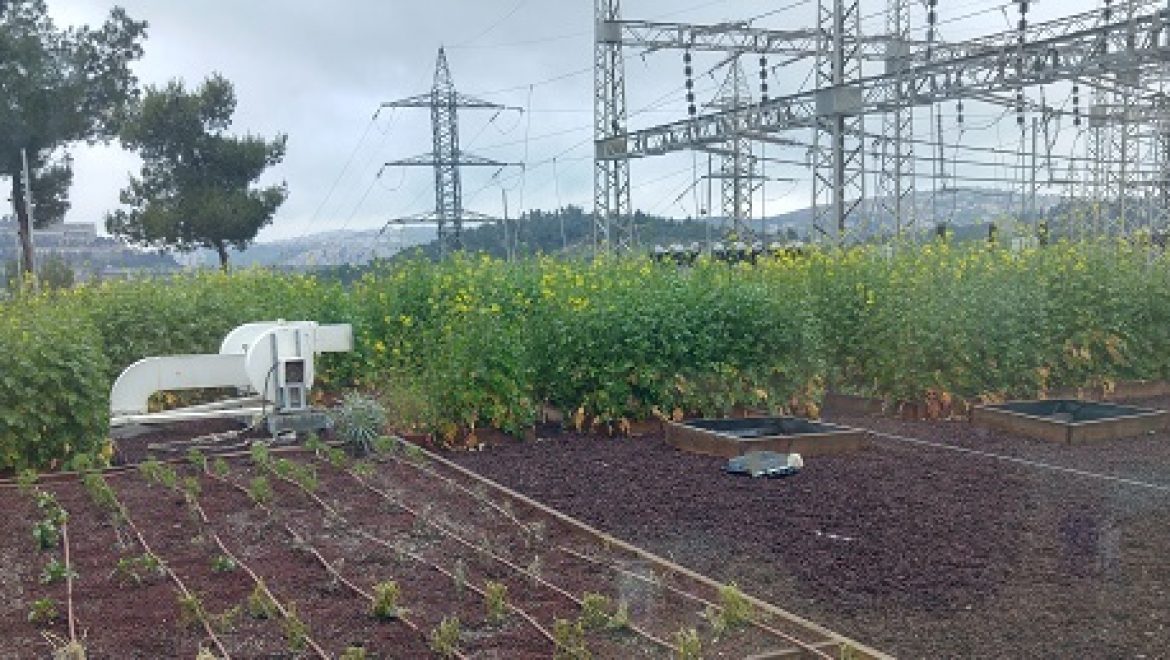 חברת החשמל משיקה גג ירוק מחקרי בתחנת משנה בירושלים