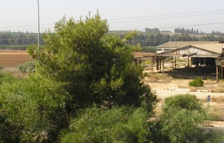 בזכות עתירת אדם טבע ודין: לא יוקם מרכז לוגיסטי ארצי בצומת הדרים