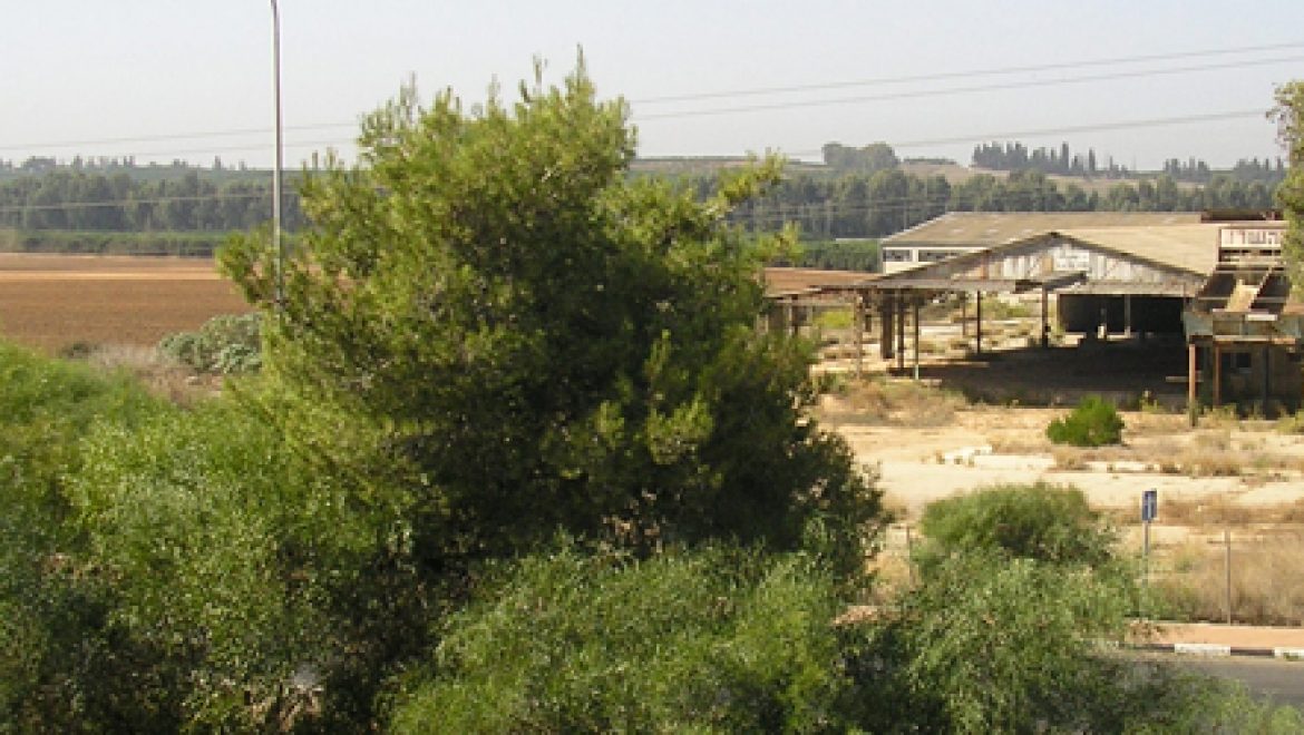 בזכות עתירת אדם טבע ודין: לא יוקם מרכז לוגיסטי ארצי בצומת הדרים