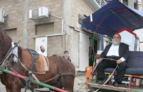 בעקבות העלייה במחירי הדלק: הסוסים נרתמים לחלוקת מוצרי מזון לנזקקים