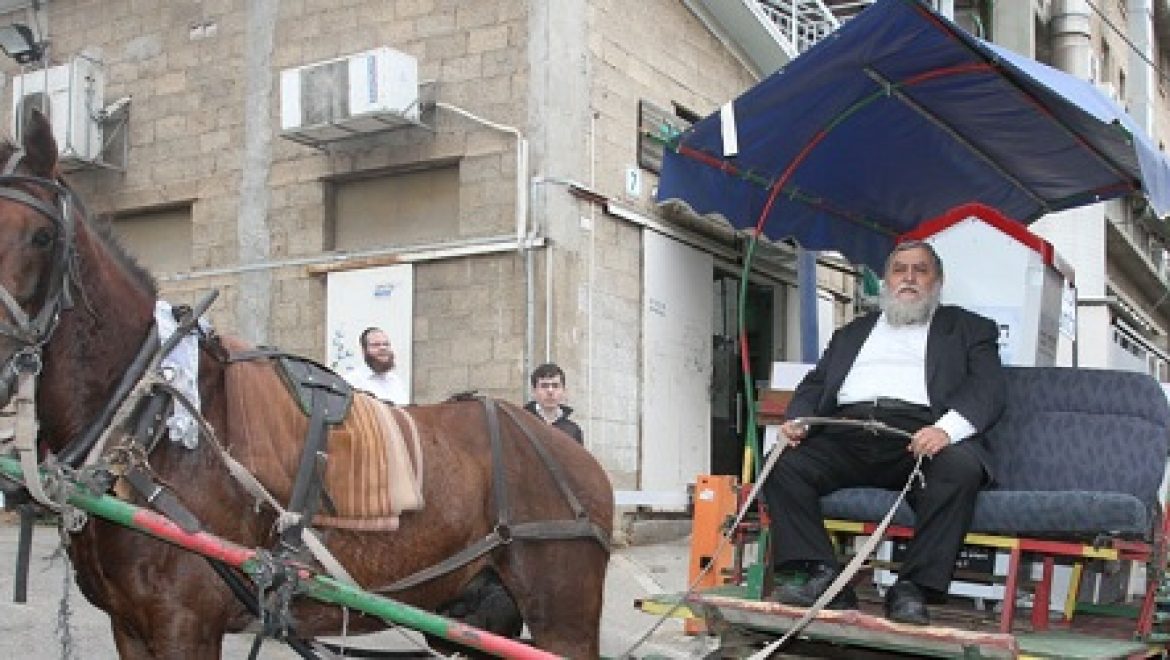 בעקבות העלייה במחירי הדלק: הסוסים נרתמים לחלוקת מוצרי מזון לנזקקים